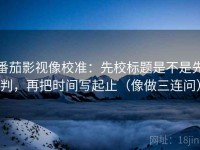 番茄影视像校准：先校标题是不是先判，再把时间写起止（像做三连问）