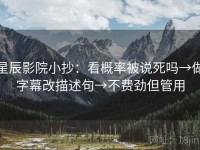 星辰影院小抄：看概率被说死吗→做字幕改描述句→不费劲但管用