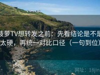 菠萝TV想转发之前：先看结论是不是太硬，再统一对比口径（一句到位）