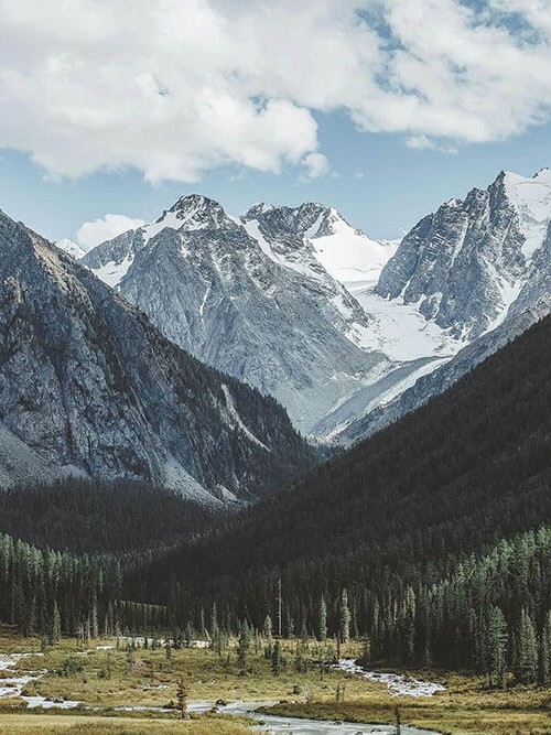 神马影院体检小卡：问题推断是不是走远了，动作补上单位标注，提示读完更清醒
