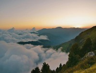 樱花动漫短复盘：先对齐证据是不是不够，再把单位补到图旁（写作也能用）