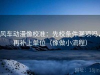 风车动漫像校准：先校条件漏项吗，再补上单位（像做小流程）